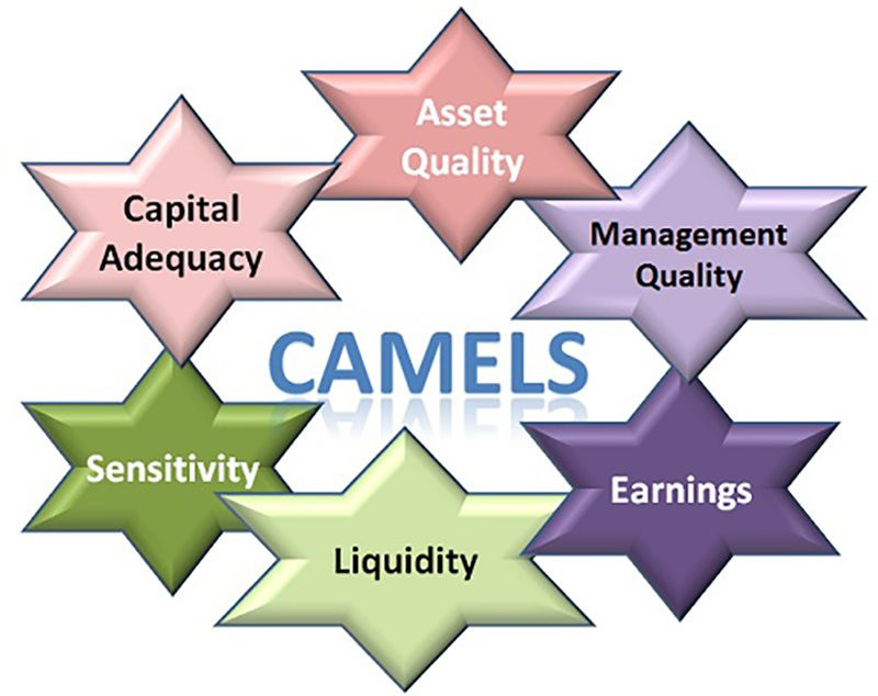 Tất tần tật những điều bạn nên biết về mô hình CAMELS