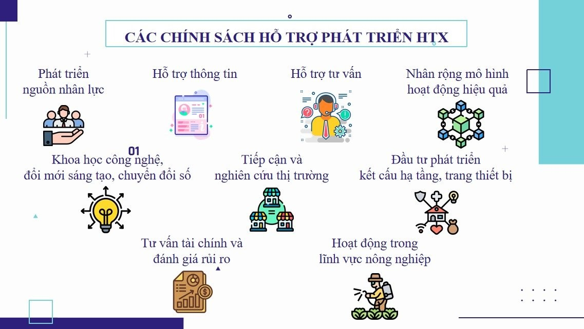 cac-chinh-sach-ho-tro-phat-trien-htx.png