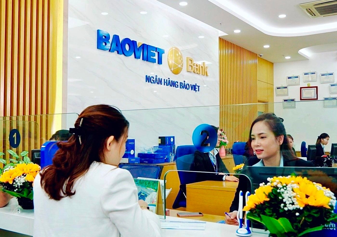 baoviet-bank.jpeg