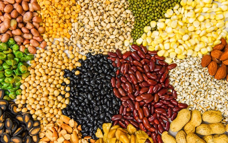 legumes-seedss.jpg