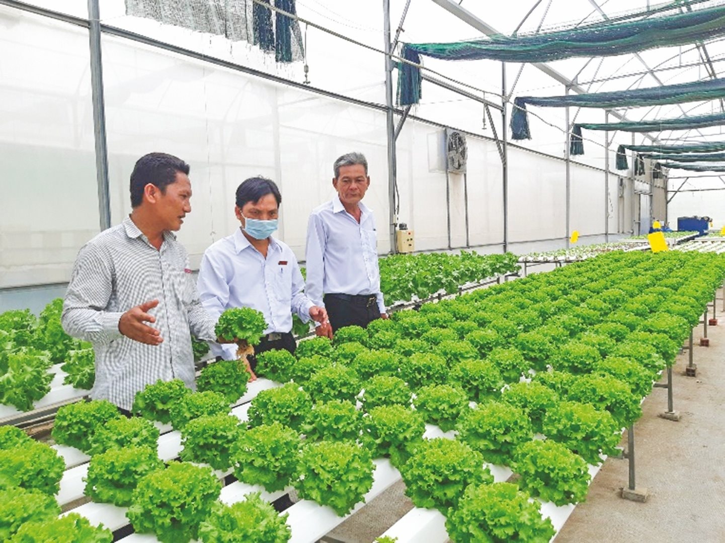 cac-htx-tham-gia-mo-hinh-chuoi-lien-ket-voi-doanh-nghiep-de-tiep-can-von-vay-ngan-hang..jpg