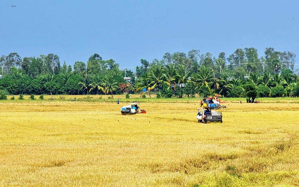 anh-minh-hoa-1-.jpg