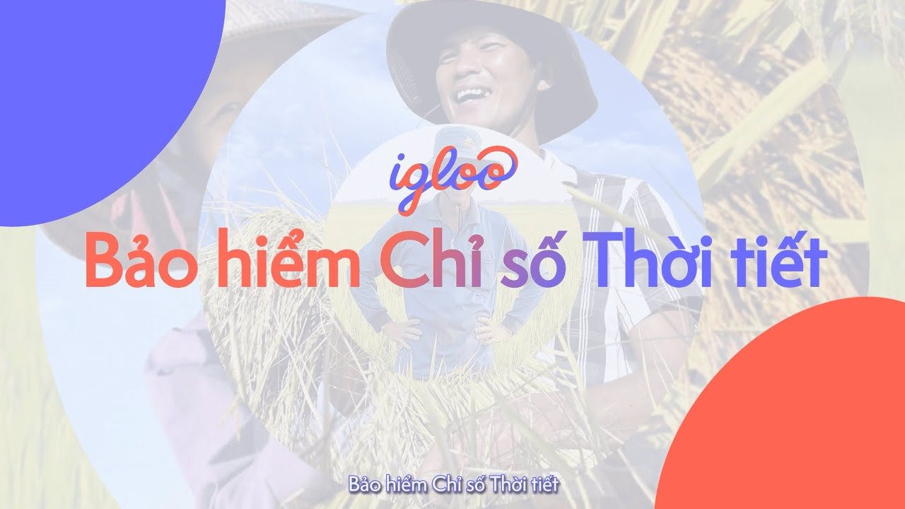 bao-hiem-chi-so-thoi-tiet.jpg