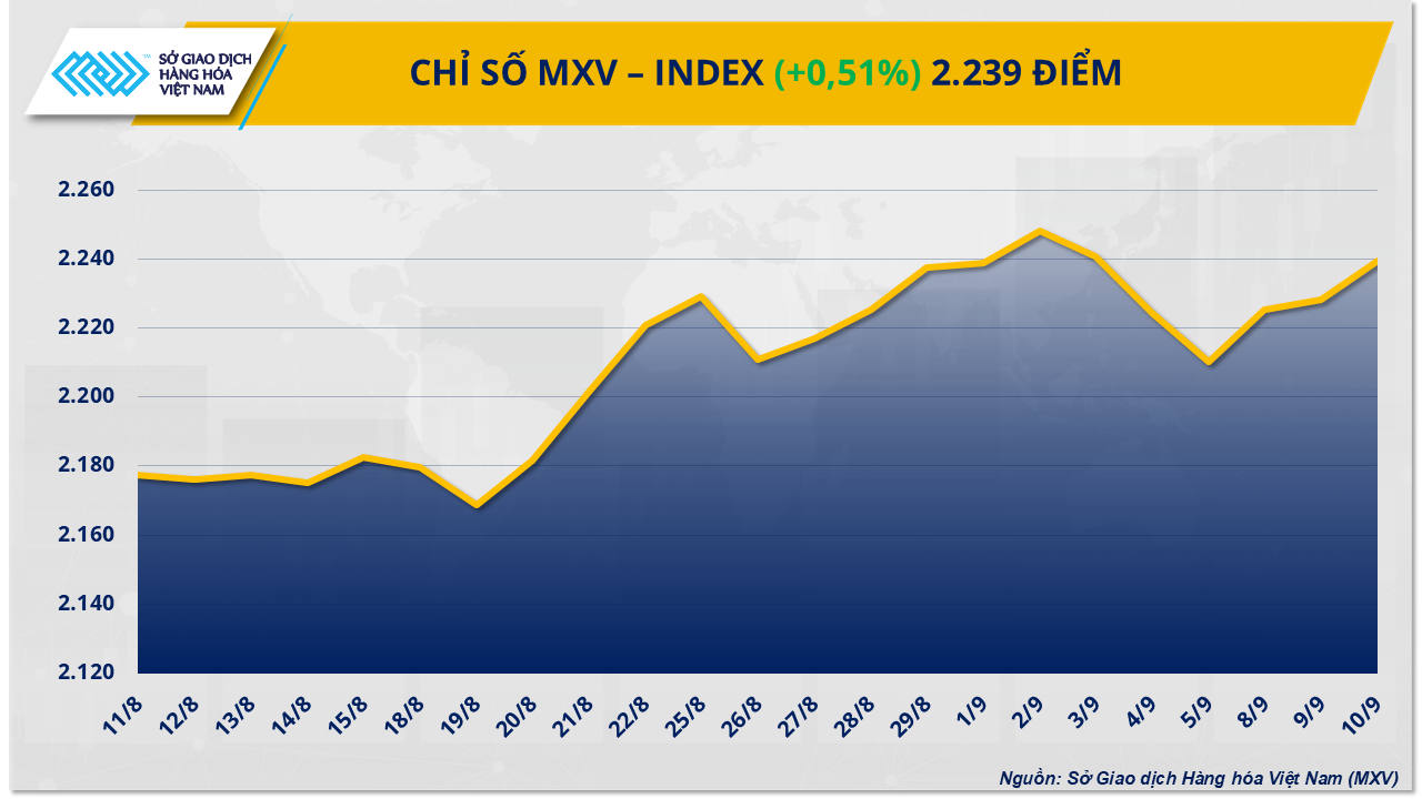 mxv-index-64-.png