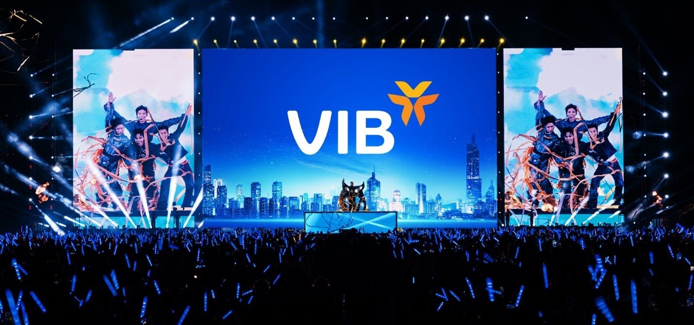 vib3.jpg