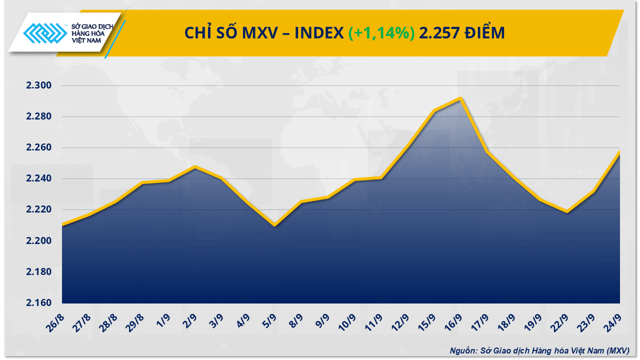 mxv-index-6.png