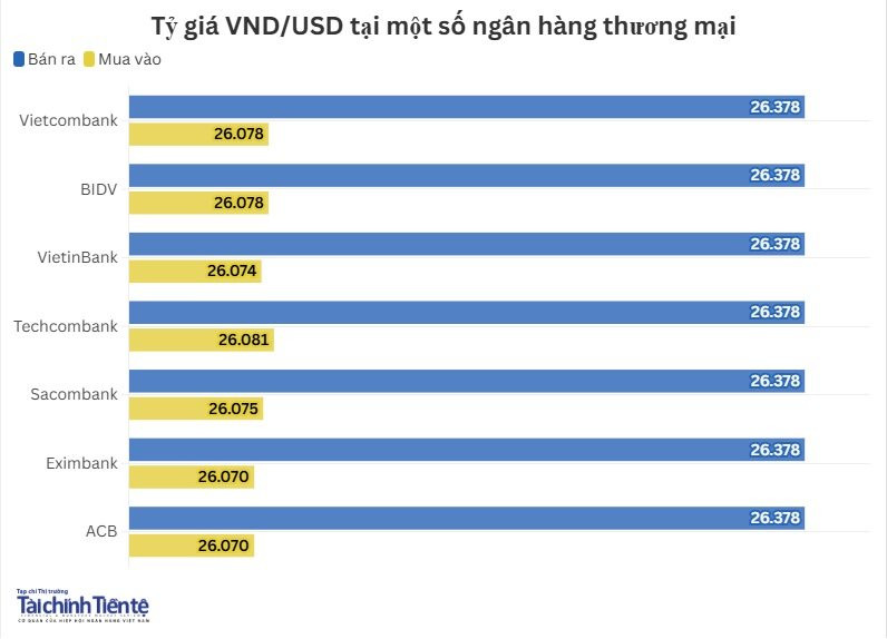 nhtm-6.1.jpg