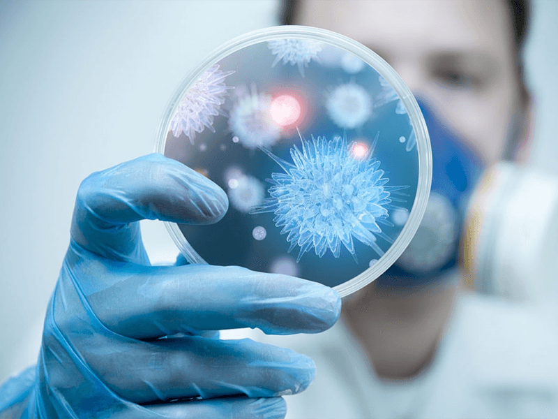 Bộ Y tế khuyến cáo người dân hạn chế đến khu vực có dịch bệnh do virus Nipah - Ảnh 1. Bộ Y tế khuyến cáo người dân hạn chế đến khu vực có dịch bệnh do virus Nipah - Ảnh 1.