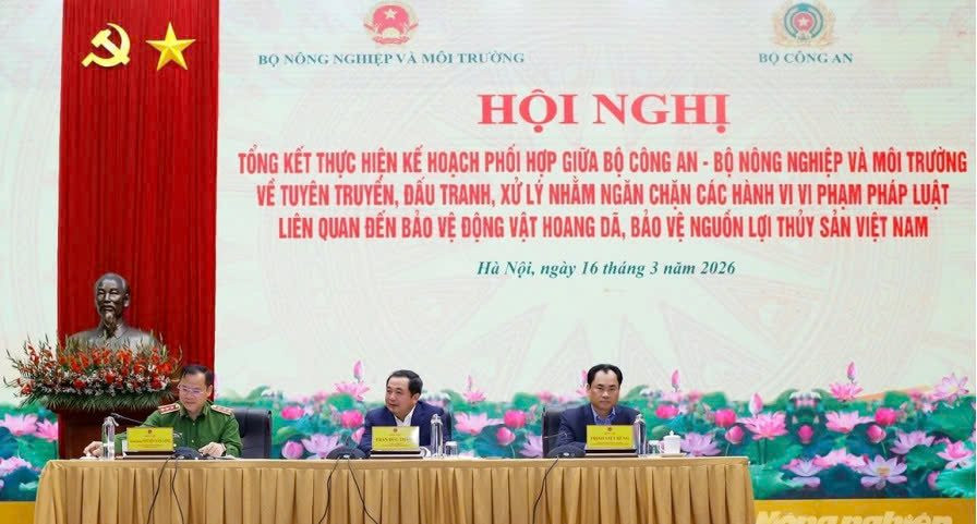 z7628471180051_ef0c8e97bab1b7594f3605cd4126baf2.jpg