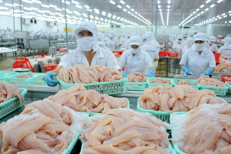 che-bien-ca-tra-xuat-khau-o-nha-may-nam-viet..jpg