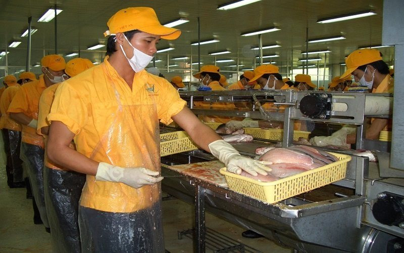 che-bien-ca-tra-tai-cong-ty-anvifish.jpg