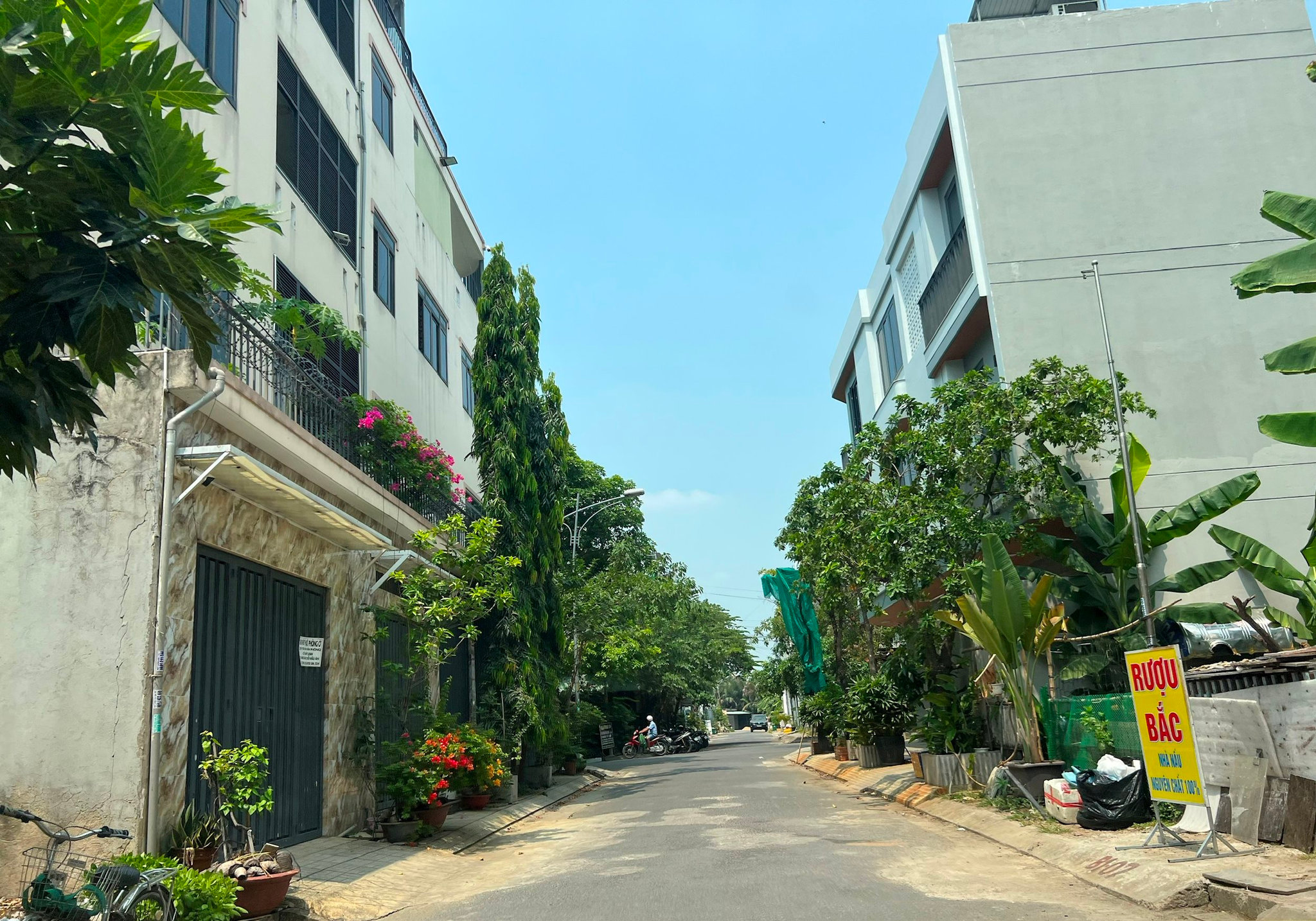 8l.jpg