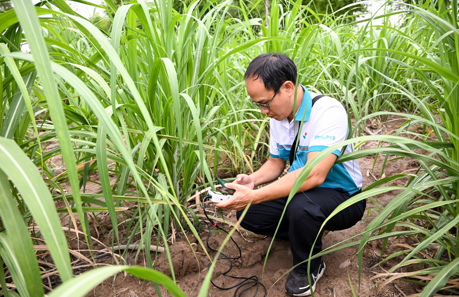 cdn.petrotimes.vn-stores-news_dataimages-2026-052026-23-10-_dsc-585020260523101217.jpg