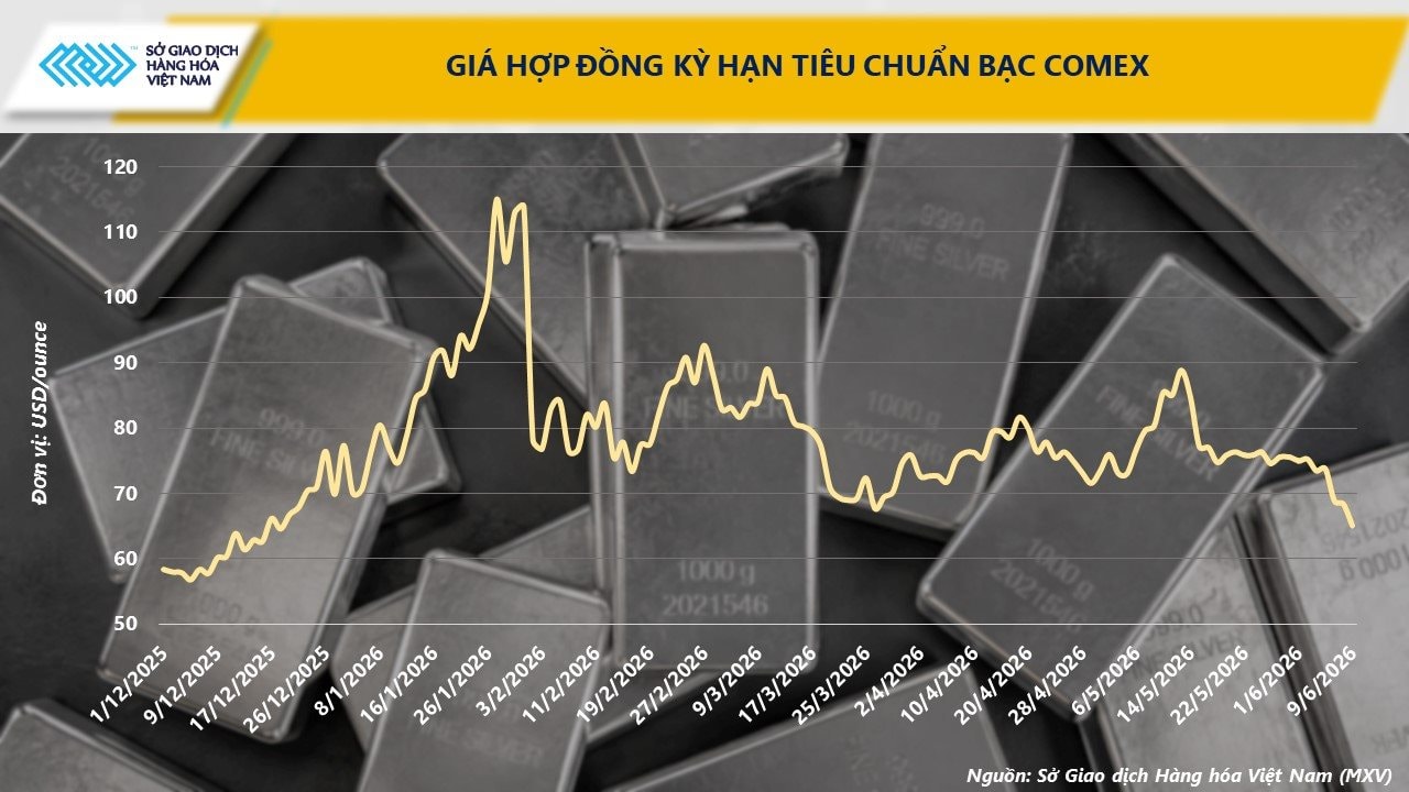 anh-2_-gia-hdkhtc-bac-comex.jpg