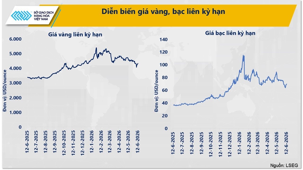 anh-4_-dien-bien-gia-vang-bac-lien-ky-han.jpg