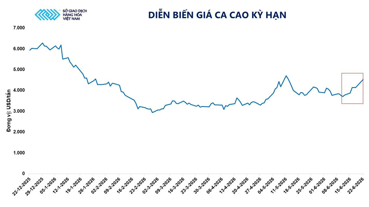 anh-2_-dien-bien-gia-ca-cao-ky-han.jpg