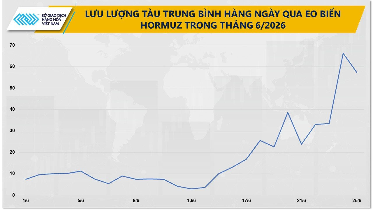 anh-3_-luu-luong-tau-trung-binh-hang-ngay-di-qua-eo-bien-hormuz-trong-thang-6_2026.jpg