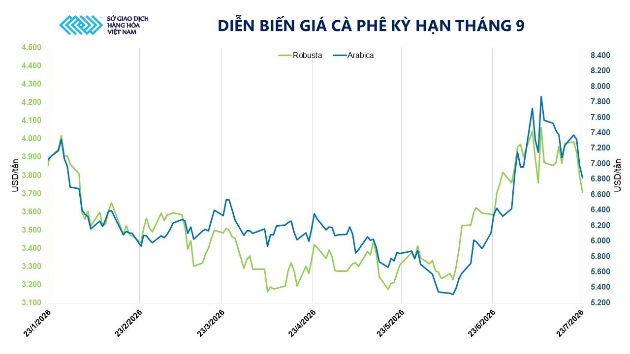 anh-4_-dien-bien-gia-ca-phe-ky-han-thang-9.jpg