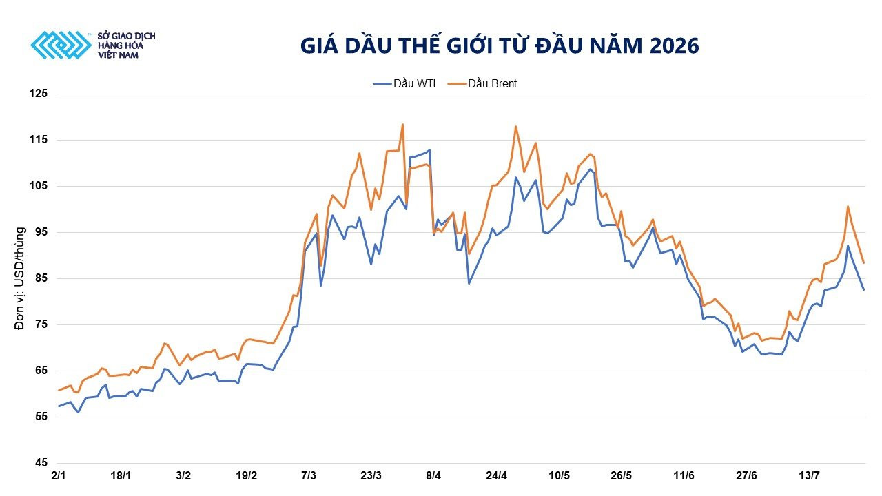 anh-2_-dien-bien-gia-dau-the-gioi-tu-dau-nam-2026.jpg