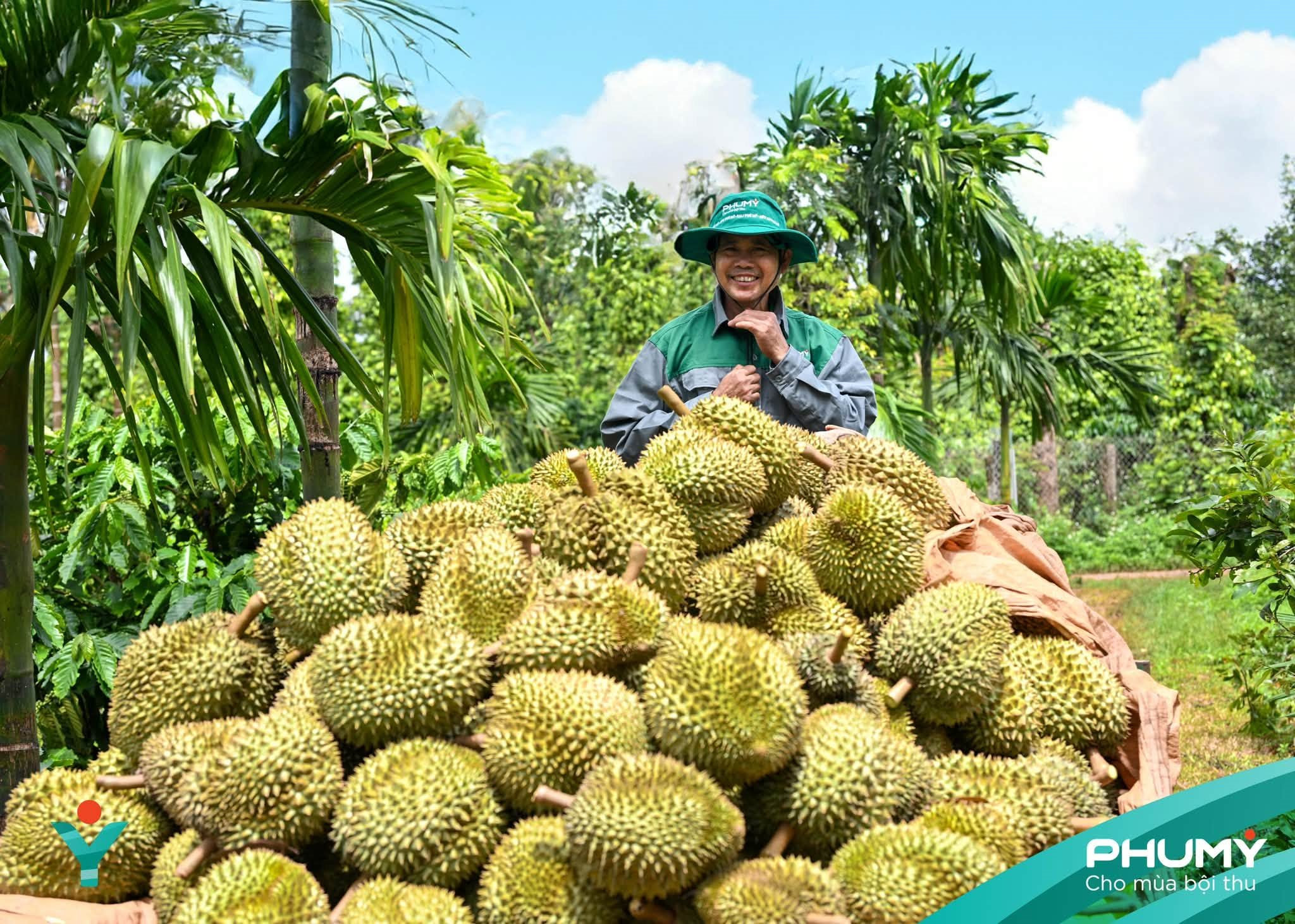 buc-anh-tham-gia-trien-lam-anh-nghe-thuat-nu-hoang-cua-dai-ngan-xanh-.jpg