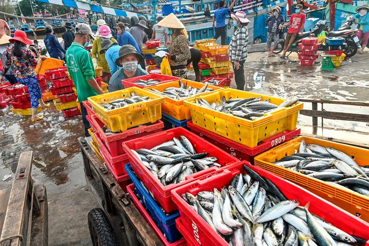 thuy-san-binh-thuan.jpg