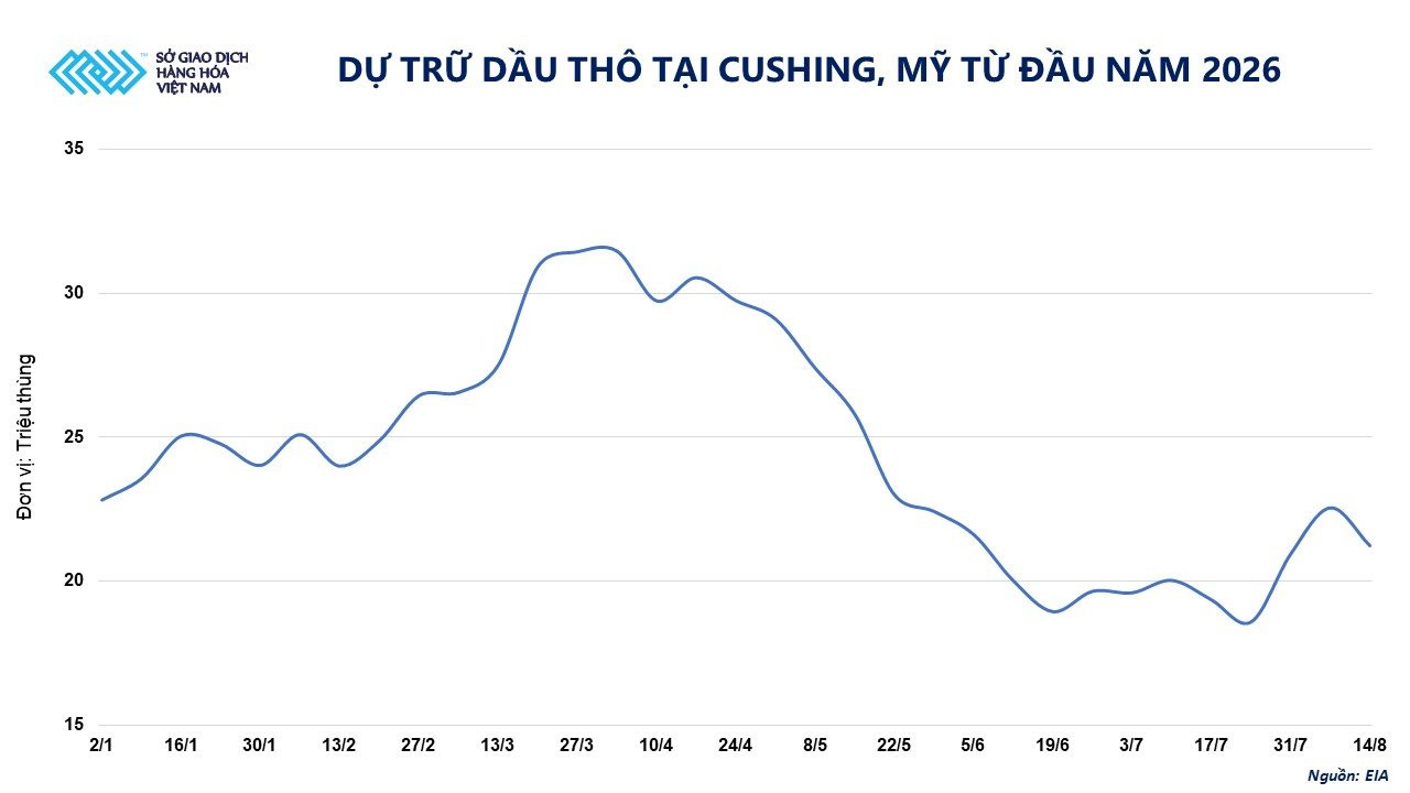 anh-2_-du-tru-dau-tho-tai-cushing-my-tu-dau-nam-2026.jpg
