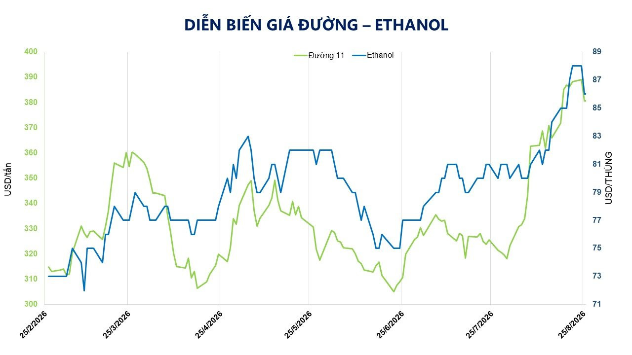anh-5_-dien-bien-gia-duong-ethanol.jpg