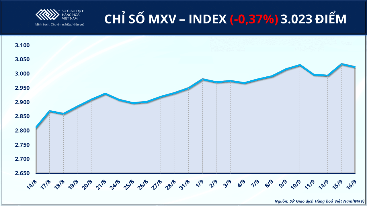 anh-1_-chi-so-mxv-index.png