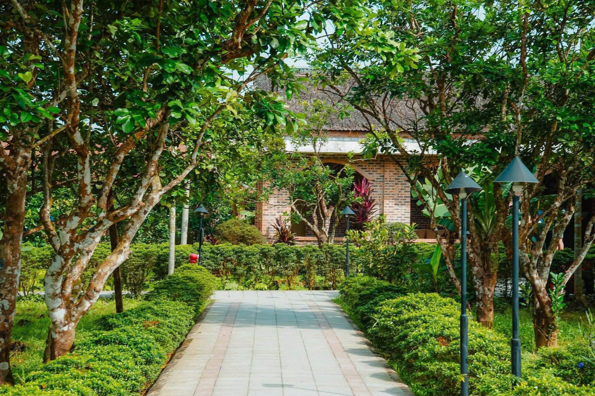Thủy Biều