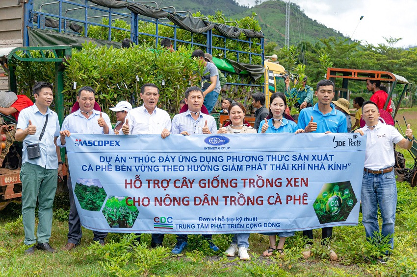 Hỗ trợ cây giống trồng xen