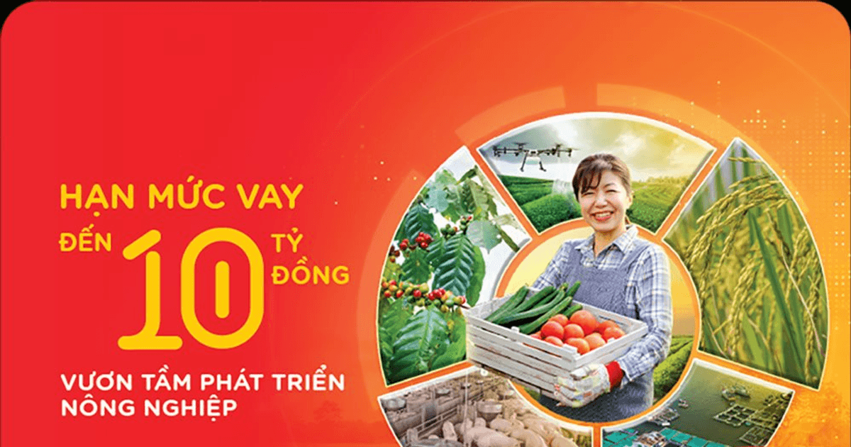 NGHỊ ĐỊNH 156 CẬP NHẬT CHÍNH SÁCH CHO VAY NÔNG NGHIỆP MỚI