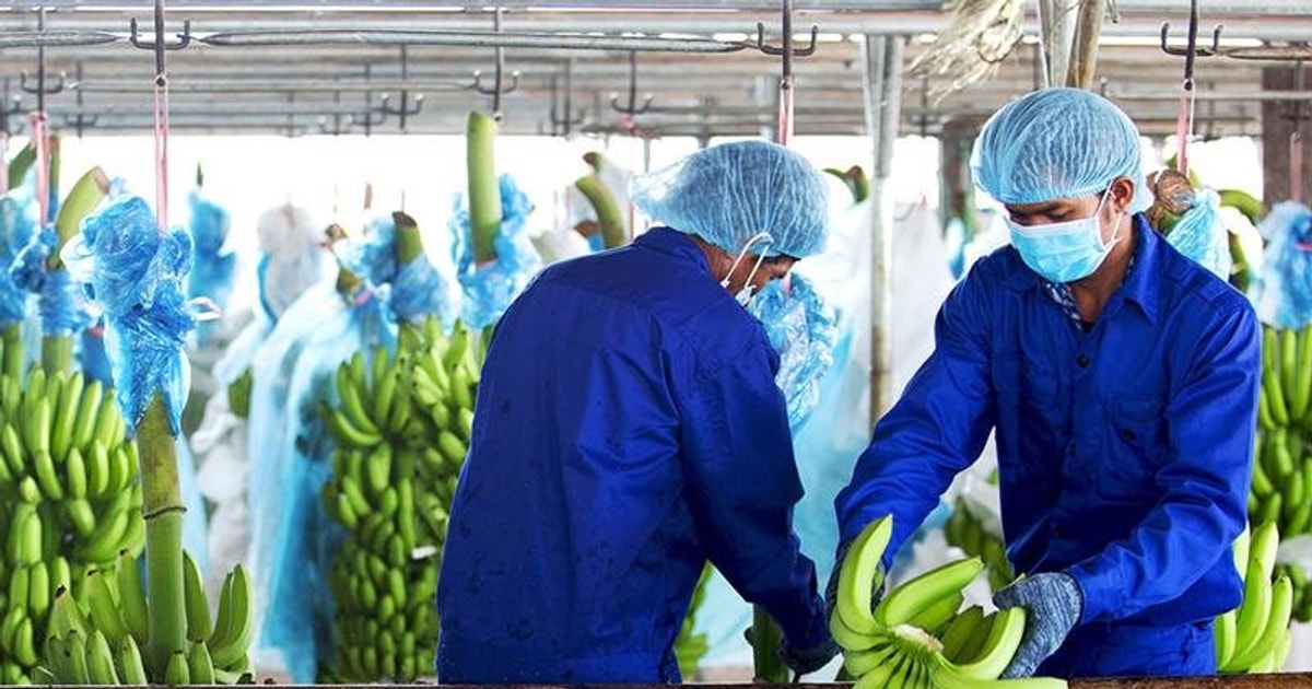 Hoàng Anh Gia Lai chưa thể thanh toán khoản nợ gốc và lãi trái phiếu lên đến 4.400 tỷ đồng