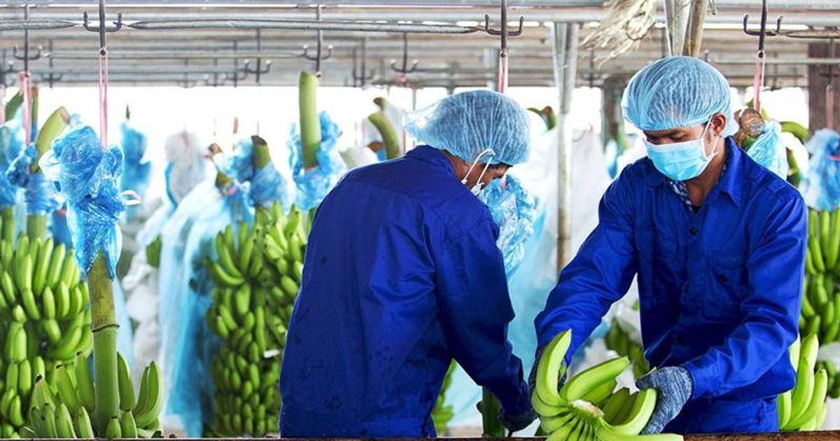 Hoàng Anh Gia Lai chưa thể thanh toán khoản nợ gốc và lãi trái phiếu lên đến 4.400 tỷ đồng