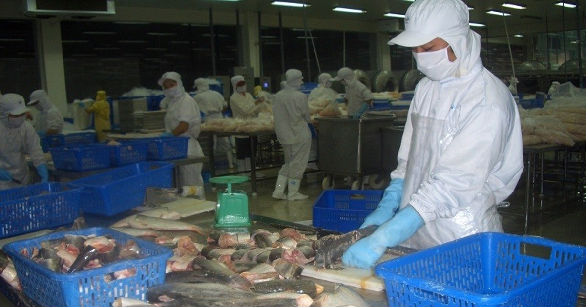 Mua hộp nuôi cá hàng hiệu chính hãng từ Mỹ giá tốt. Tháng 4/2024
