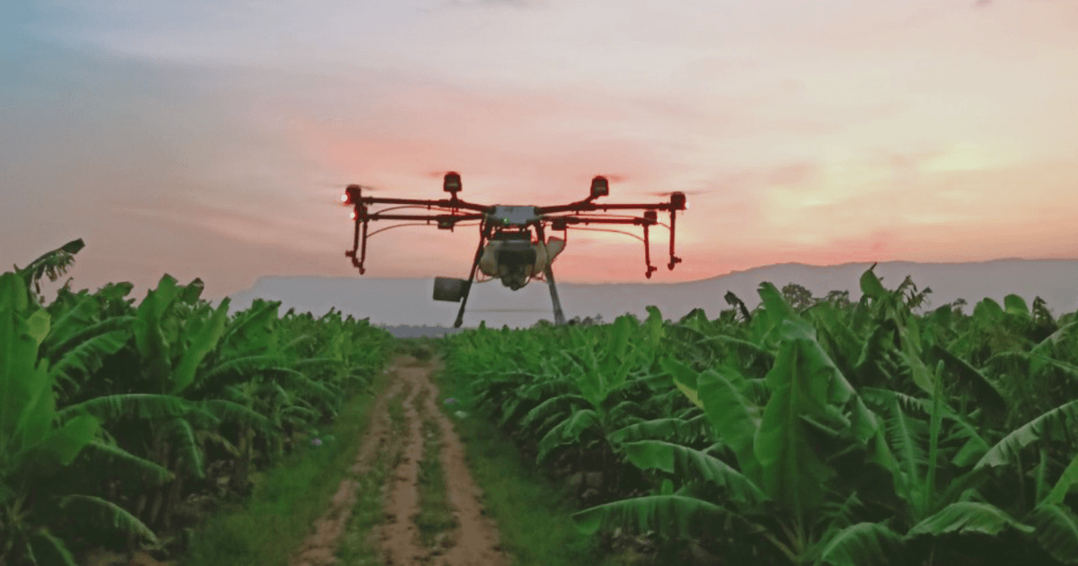 Thaco Agri báo lãi gần 42 tỷ đồng năm 2023