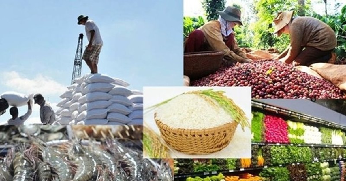 Nông sản chủ yếu vẫn xuất hàng thô, hàm lượng chế biến thấp