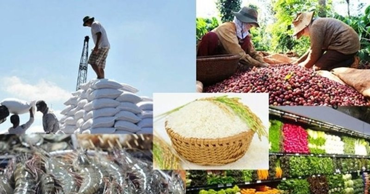 Nông sản chủ yếu vẫn xuất hàng thô, hàm lượng chế biến thấp