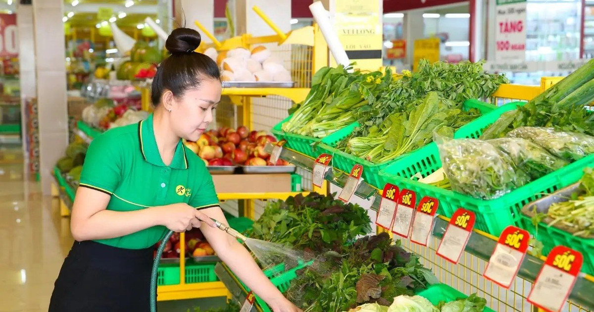 Bộ đôi cổ phiếu bán lẻ MWG, FRT hạ nhiệt