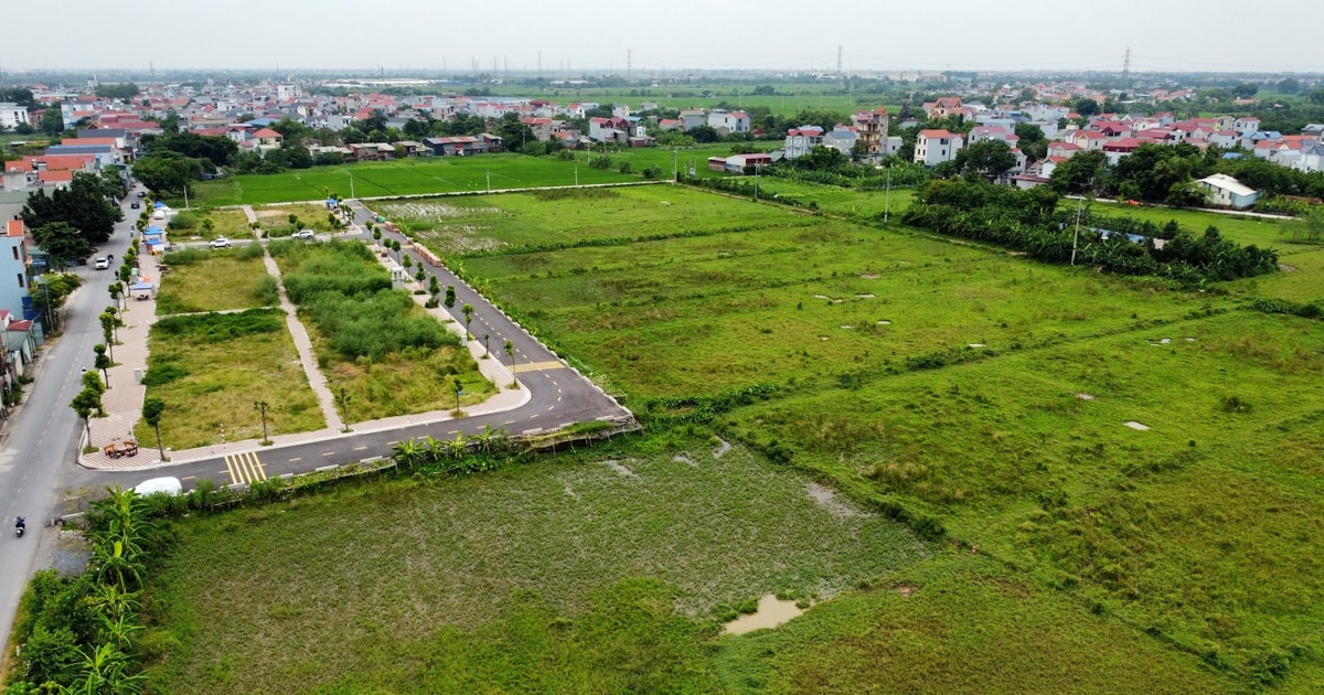 Đất Thanh Oai đã tăng 80% trước vụ đấu giá thu hút cả nghìn người tham gia