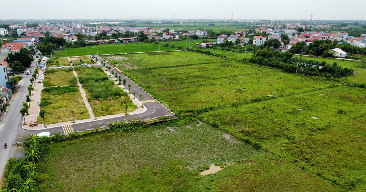 Đất Thanh Oai đã tăng 80% trước vụ đấu giá thu hút cả nghìn người tham gia