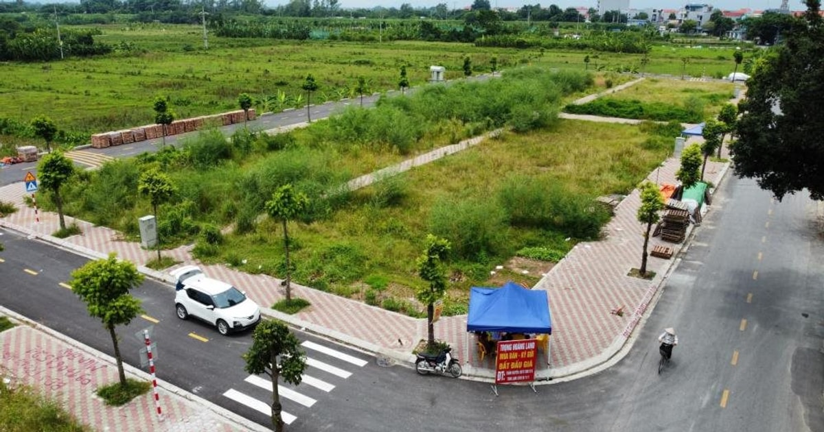 Huyện ngoại thành Hà Nội bất ngờ hoãn phiên đấu giá 57 lô đất