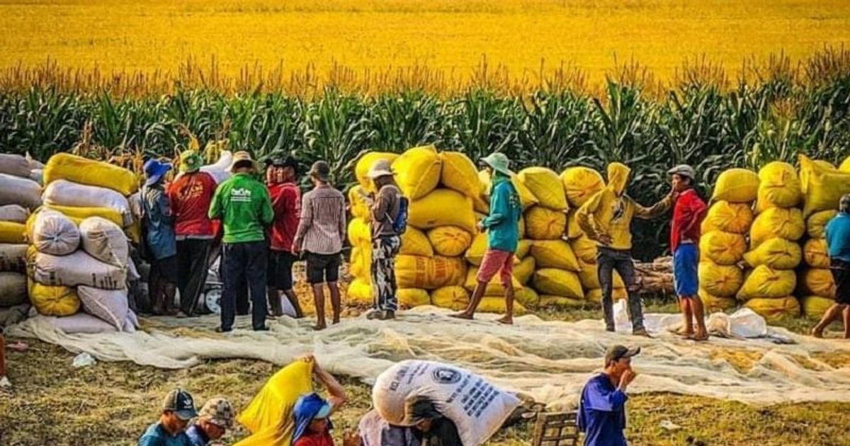Yếu tố nào làm CPI 9 tháng tăng 3,88%?