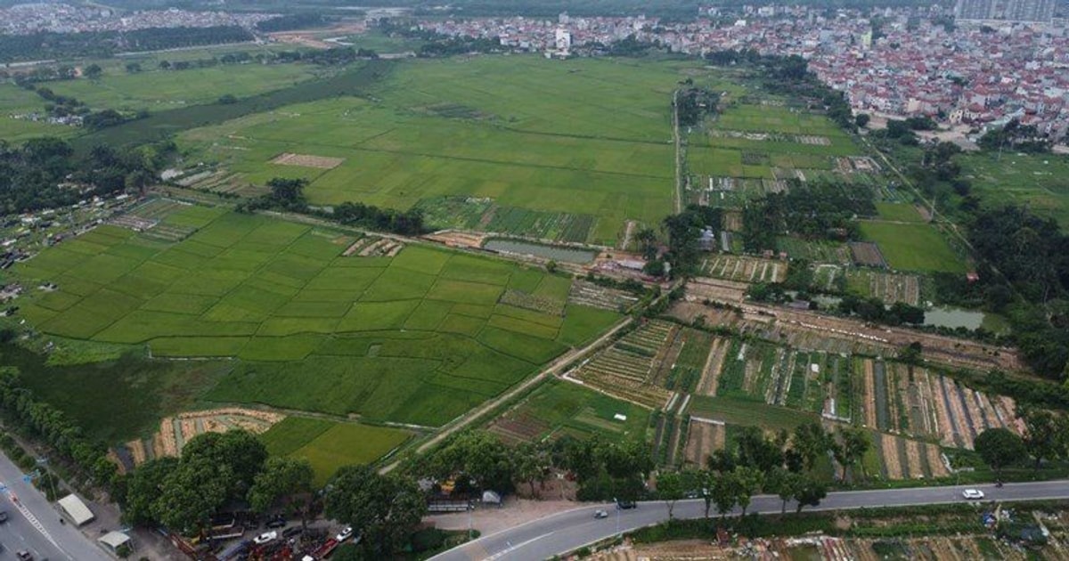 Vinaconex xuất hiện trong liên danh “nhòm ngó” khu đô thị hơn 4.463 tỷ đồng ở Thanh Trì