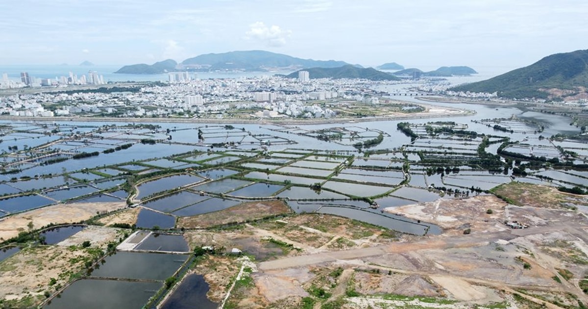 Đắk Lắk giao gần 40.000 m2 “đất vàng” cho Ecopark để xây Tổ hợp trung tâm thương mại và nhà ở