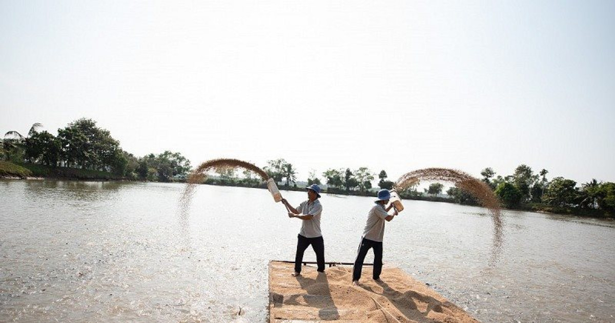 PAN, DBC, VHC, HPG, HAG: Những “sếu đầu đàn” nông nghiệp đang làm ăn ra sao?