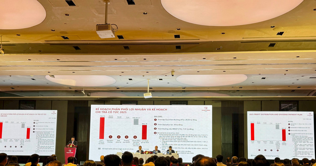 ĐHCĐ Nam Long: Đã có đối tác đang đàm phán một phần dự án Izumi, mục tiêu lợi nhuận năm tăng 35%