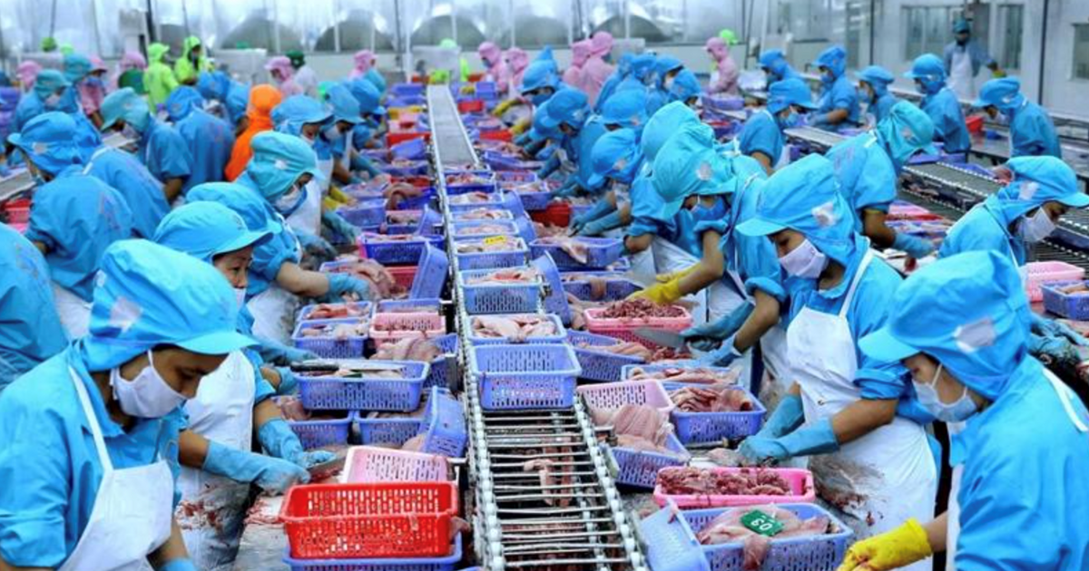 Trung Quốc dẫn đầu các nước nhập thủy sản Việt Nam