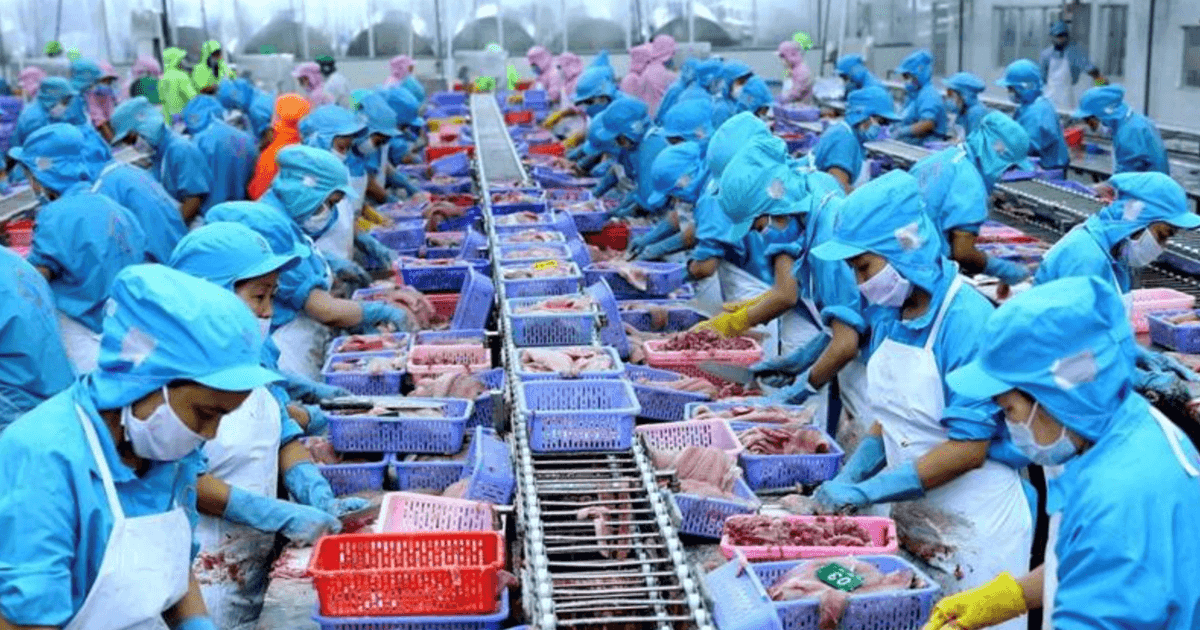 Trung Quốc dẫn đầu các nước nhập thủy sản Việt Nam
