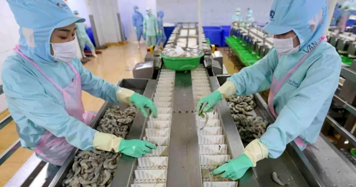 Sau năm thua lỗ kỷ lục, Thuỷ sản Minh Phú đặt kế hoạch lãi gần 1.000 tỷ năm 2025