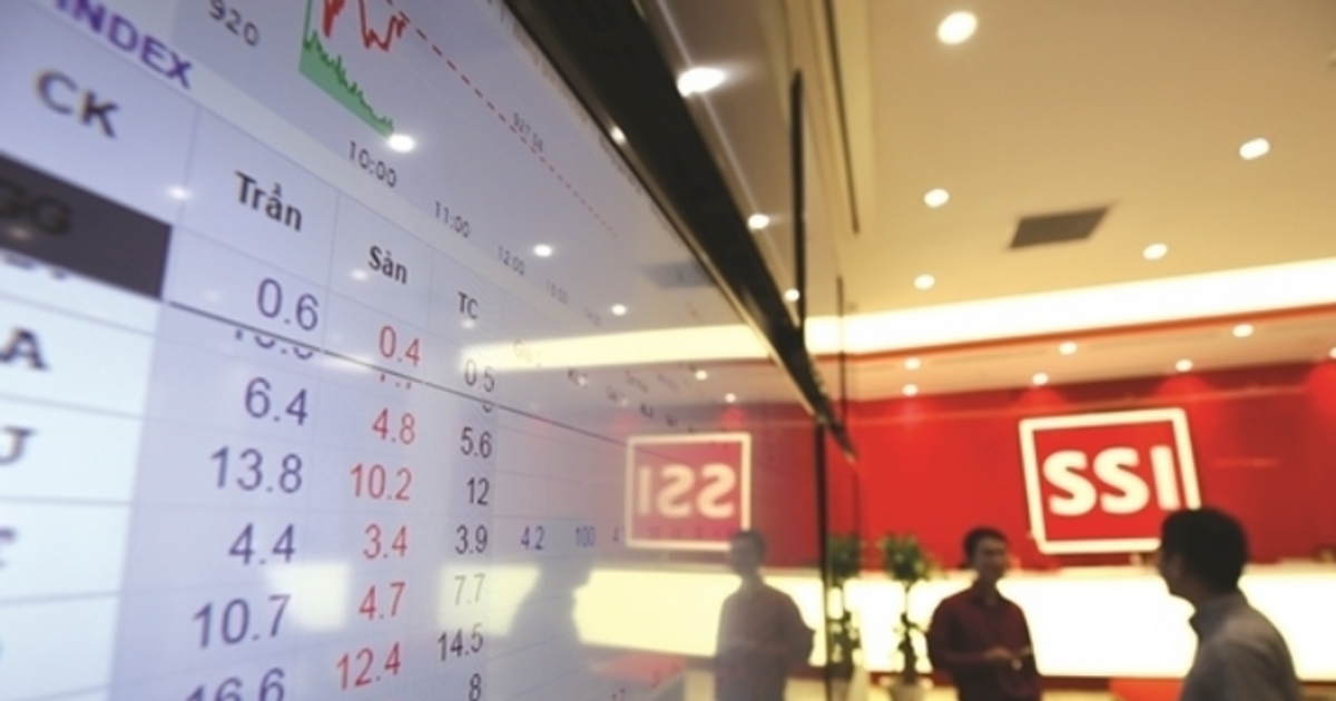 SSI vừa vượt đỉnh, cổ đông lớn Nhật Bản đăng ký mua gần 16 triệu cổ phiếu phát hành riêng lẻ